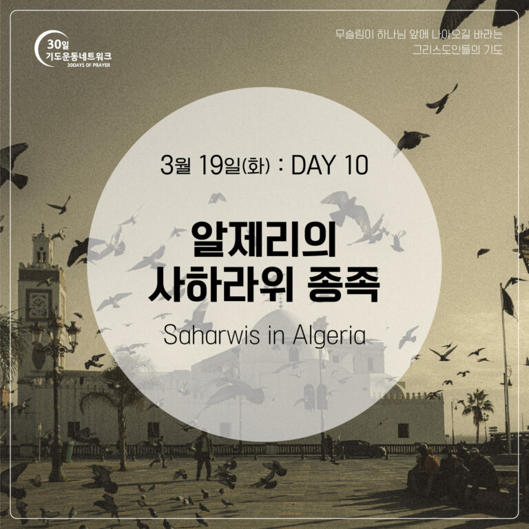 DAY10_알제리의-사하라위-종족_대지-1