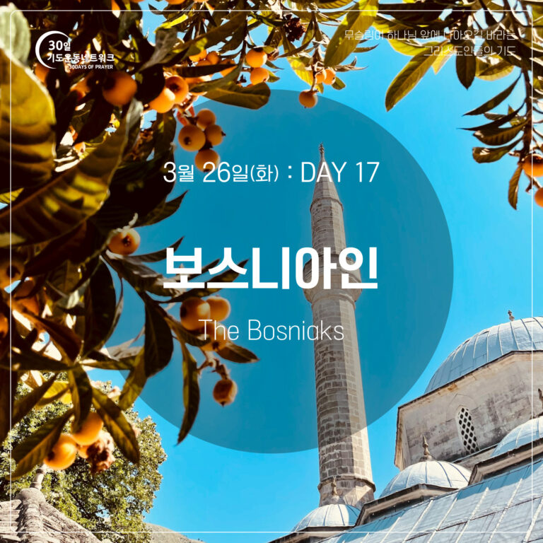 DAY17_보스니아인_대지-1