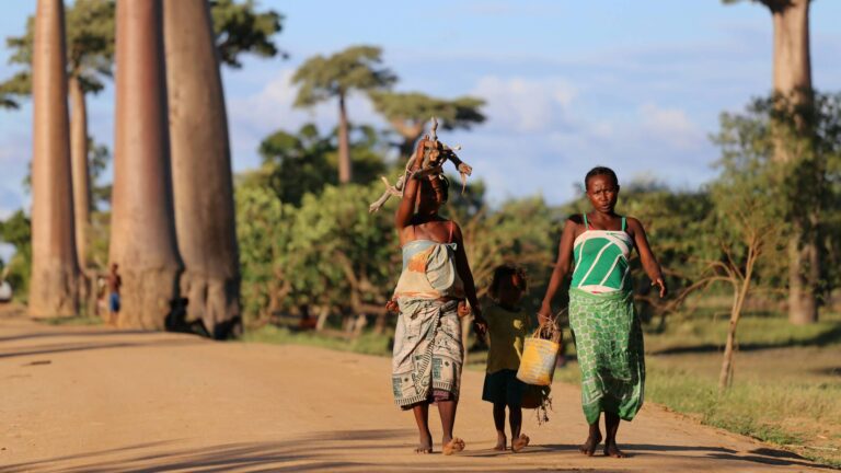 2photo-pots-498UjzgcwA0-unsplash1