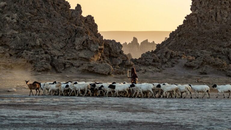 lesly-derksen-vmfKwrqkOkA-unsplash-2