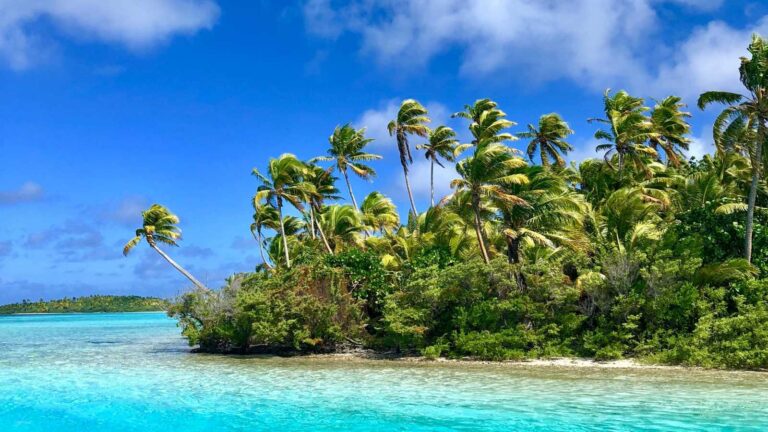 yvette-goldberg-JGmuEnZ8Yxk-unsplash1