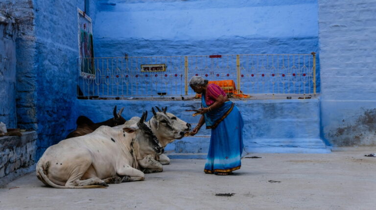 [크기변환]monthaye-b1Ywo-ZKtTs-unsplash