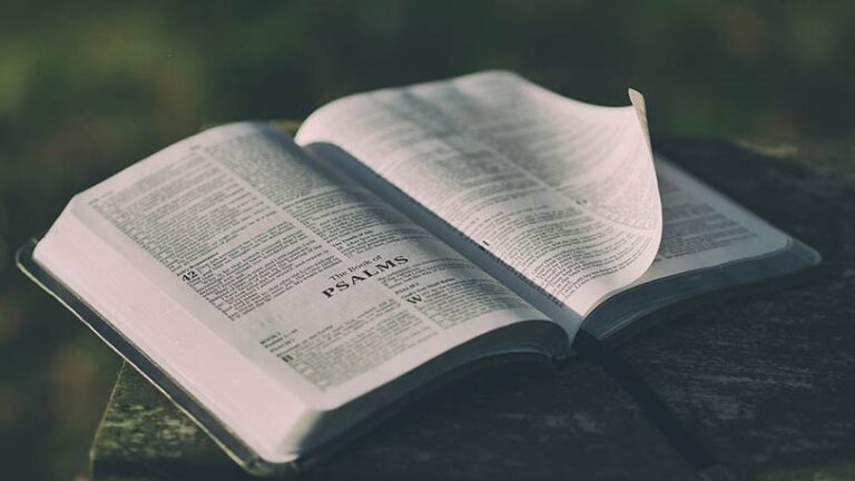 W-0602 P모잠비크