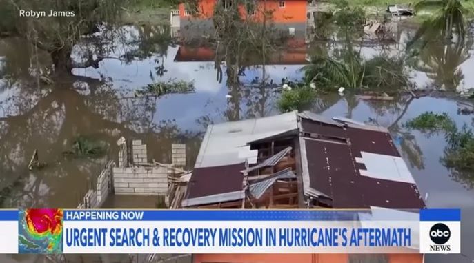 W_1203 P자메이카