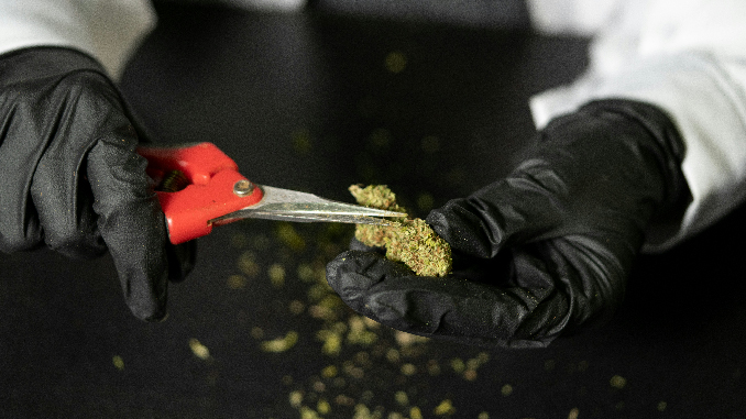 W-0205 A긴급기도